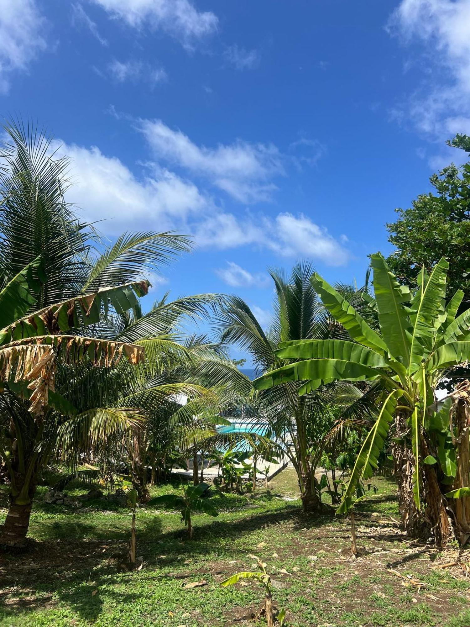 The Sea Cliff Hotel Resort & Spa Port Antonio Eksteriør billede
